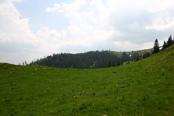 IMG_6904