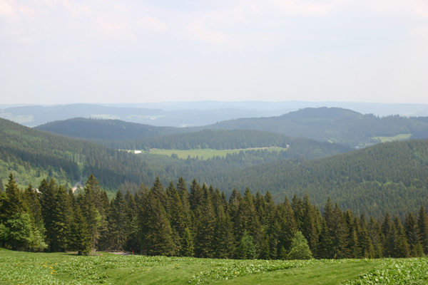 IMG_6907