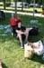 IMG_7965