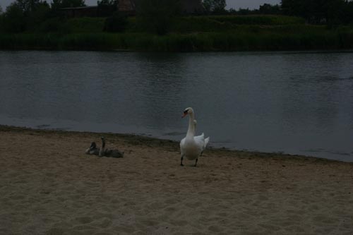 IMG_4151